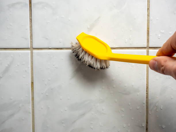 Best Best Mold Removal Companies  in Oconto, WI