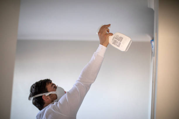 Best Toxic Mold Removal  in Oconto, WI