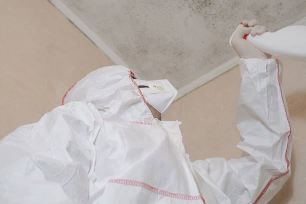 Best Commercial Mold Removal  in Oconto, WI